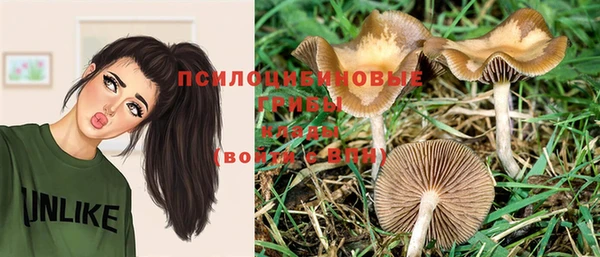 дмт Бронницы