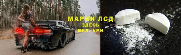 мяу мяу мука Бородино