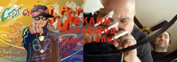 мяу мяу мука Бородино