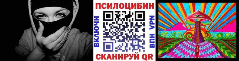 Псилоцибиновые грибы Cubensis  Горняк 